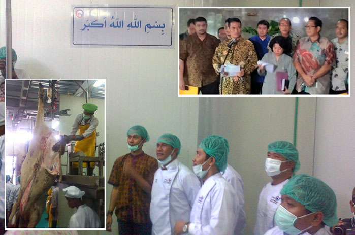 Kementan Siapkan 8.110 Ton Daging Setara 47 Ribu Ekor Sapi untuk Operasi Pasar